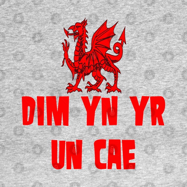 Dim yn yr un cae Welsh Rugby Union Dragon by taiche